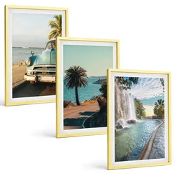 BILDER SET 3er Set - 40x60 cm Goldrahmen - Urlaub Palmen Wasserfall