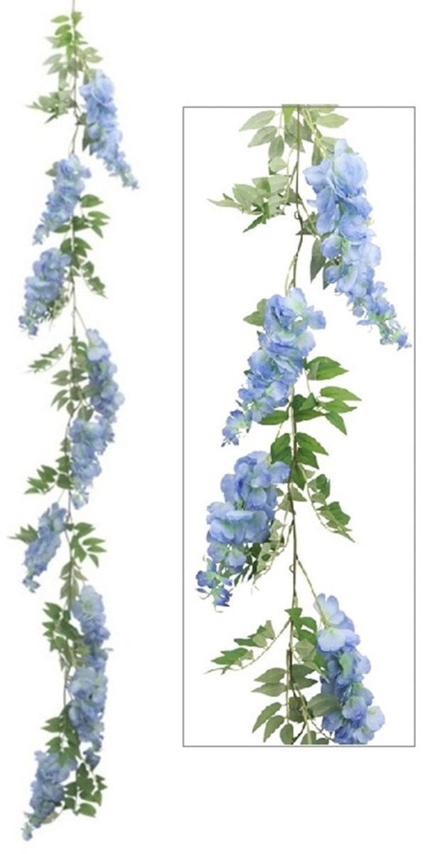 Blauwe regen 310 cm