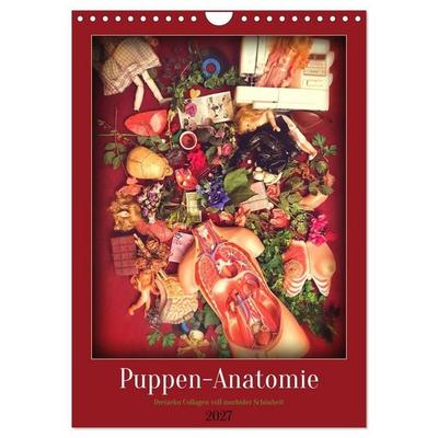 Puppen-Anatomie (Wandkalender 2027 DIN A4 hoch), CALVENDO Monatskalender