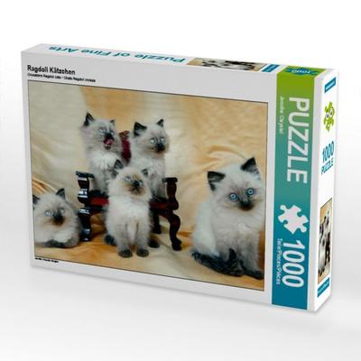 CALVENDO Puzzle Ragdoll Kätzchen | 1000 Teile Lege-Größe 64x48cm Foto-Puzzle für glückliche Stunden
