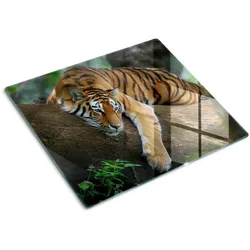 GLASPLATTE 60x52 cm Tiger auf einem Baum