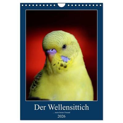 Der Wellensittich - mein bester Freund (Wandkalender 2026 DIN A4 hoch), CALVENDO Monatskalender