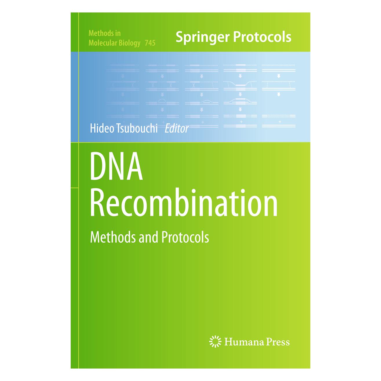 Springer DNA Recombination (Englisch, Hardcover, Hideo Tsubouchi) (9781617791284)