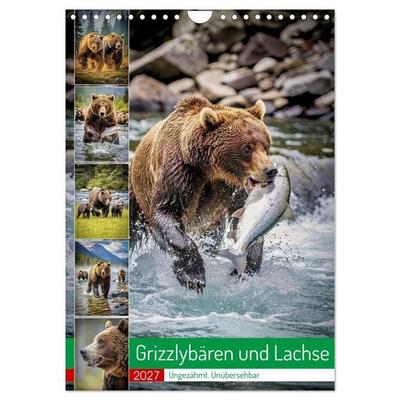 Grizzlybären und Lachse (Wandkalender 2027 DIN A4 hoch), CALVENDO Monatskalender