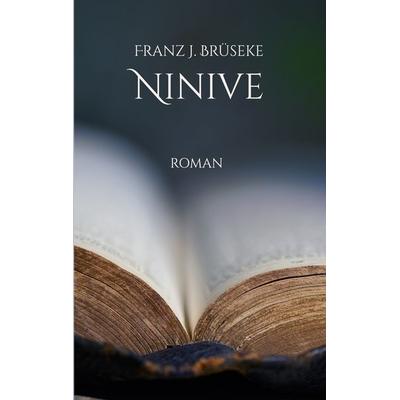 Ninive, Taschenbuch von FJ Brüseke, BoD – Books on Demand, 978-3-7528-7894-3