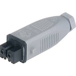 Hirschmann 932 037-106-200 Netz-Steckverbinder STAK Buchse, gerade Gesamtpolzahl: 2 + PE 16 A Grau 200 St.