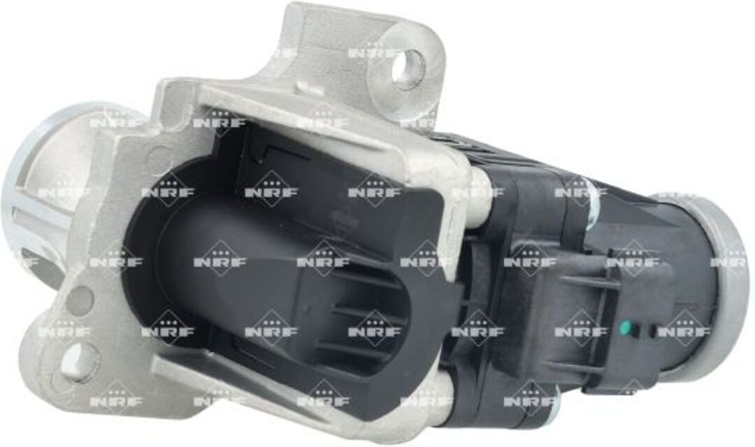 Nrf Valvola EGR 48782