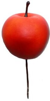 Worth Imports "5"" Apple Pick, Set of 12"