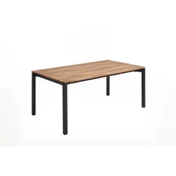 Esstisch DAVOS ( L200(300)xB100xH76cm) - L180(280)xB100xH76cm