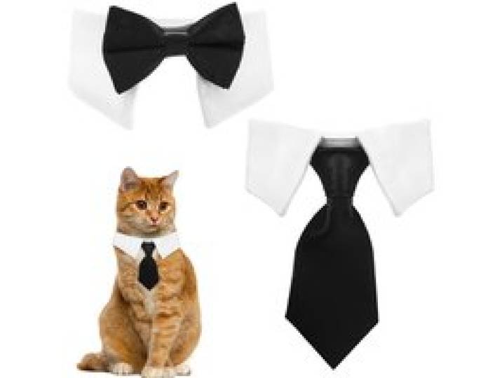 Vlinderdas kattenhalsband, honden- en katten smokinghalsband, katten bruiloft vlinderdas, verstelbare formele halsband, formele huisdierenkatten das voor katten