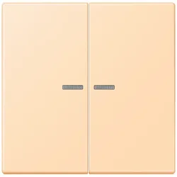 Jung Wippe 2fach m. Lichtleiter LC 995 KO5 223