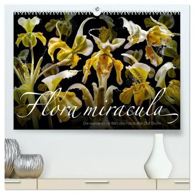 Flora miracula - Die wundersame Welt des Fotografen Olaf Bruhn (hochwertiger Premium Wandkalender 2027 DIN A2 quer), Kunstdruck in Hochglanz