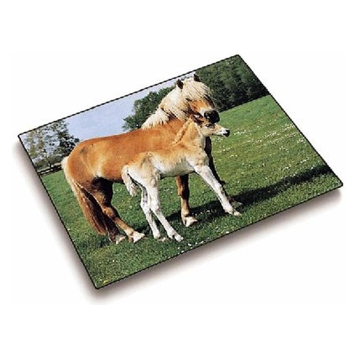 Läufer Motiv 40x53 Pferd/Fohl. (53 x 40 cm) (46587)
