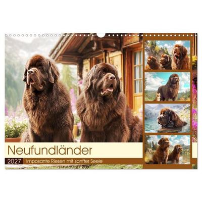 Neufundländer. Imposante Riesen mit sanfter Seele (Wandkalender 2027 DIN A3 quer), CALVENDO Monatskalender