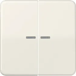 Jung Wippe Lichtleiter ws CD 595 KO5BF CD595KO5BF