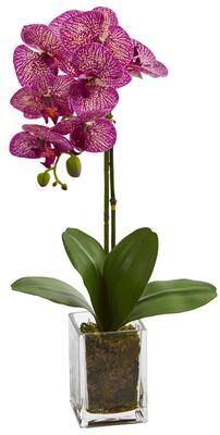 Nearly Natural "24"" Orchid Phalaenopsis Artificial Arrangement in Vase"