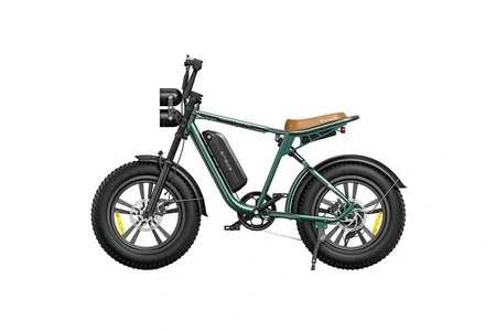 M20 13AH Elektrofahrrad:13AH Batterie-Grün