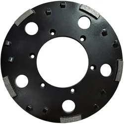 Eibenstock, Schleifmittel, Diamant-Schleifteller PKD Ø 235 mm (für EBS 235.1) - 37136000