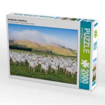 CALVENDO Puzzle Schafherde, Canterbury | 2000 Teile Lege-Größe 90x67cm Foto-Puzzle für glückliche Stunden