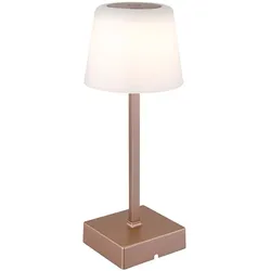 LED Tischleuchte Touchdimmer Tischlampe Akku Beistellleuchte CCT, Metall champagner, 2W 100Lm warm-kaltweiß, DxH 8,5x25,5 cm