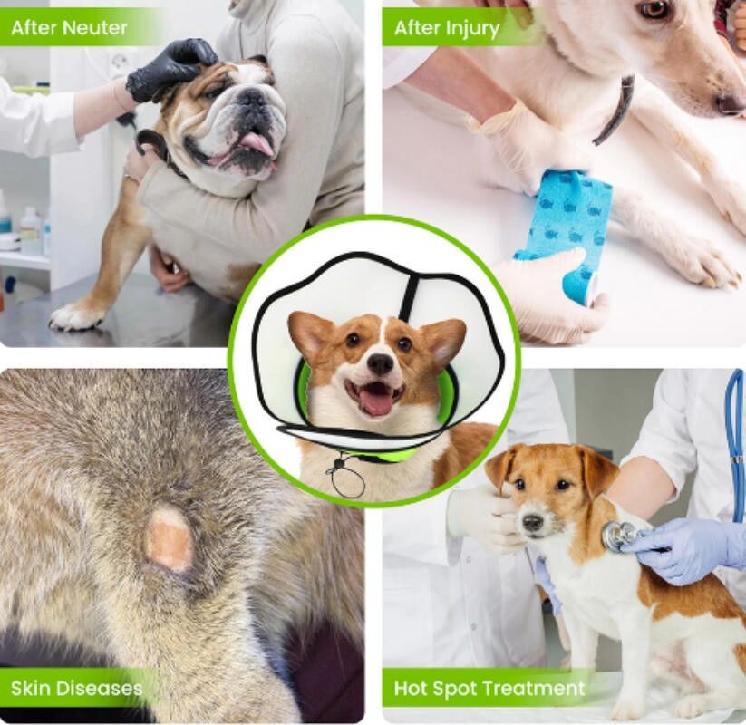 INF Collier de récupération pour animaux de compagnie anti-léchage anti-rayures L