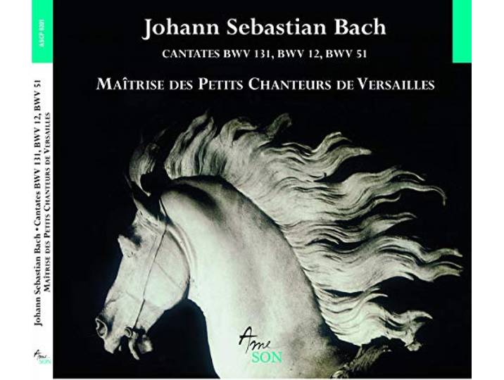Maitrise Des Petits Chanteurs De Ve - Cantates Bwv 12, 51, 131