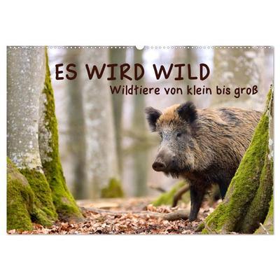ES WIRD WILD Wildtiere von klein bis groß (Wandkalender 2026 DIN A2 quer), CALVENDO Monatskalender