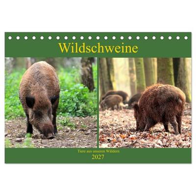 Wildschweine - Tiere aus unseren Wäldern (Tischkalender 2027 DIN A5 quer), CALVENDO Monatskalender