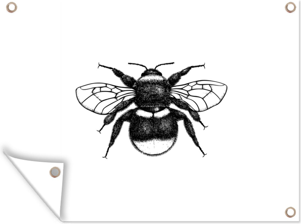 Botanische tuinposter met hommel illustratie in zwart wit, B: 80 cm, H: 60 cm