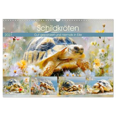 Schildkröten. Gut gepanzert und niemals in Eile (Wandkalender 2027 DIN A3 quer), CALVENDO Monatskalender