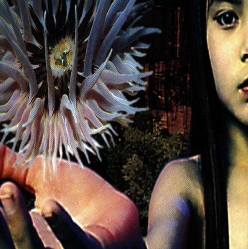 Future Sound of London - Lifeforms - Preis vom 30.09.2026 09:01:18 h