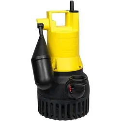 Pentair, Wasserpumpe, Pumpe (Schmutzwasserpumpe)