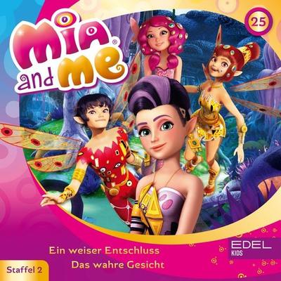 Folge 25: Ein weiser Entschluss / Das wahre Gesicht (Das Original-Hörspiel zur TV-Serie) - Thomas Karallus, Audio, 4029759147008