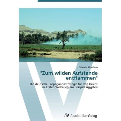 Zum wilden Aufstande entflammen, Taschenbuch von Salvador Oberhaus, AV Akademikerverlag, 978-3-639-45143-6