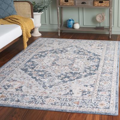 SAFAVIEH Scarlett Sorne Transitional Rug