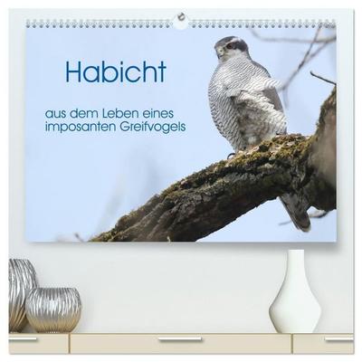 Habicht - aus dem Leben eines imposanten Greifvogels (hochwertiger Premium Wandkalender 2027 DIN A2 quer), Kunstdruck in Hochglanz