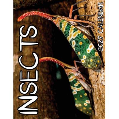 Insects 2027 Calendar, Taschenbuch von B. Patrick, Baldega Books