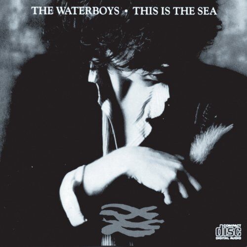 the Waterboys - This Is the Sea - Preis vom 27.09.2026 03:53:48 h
