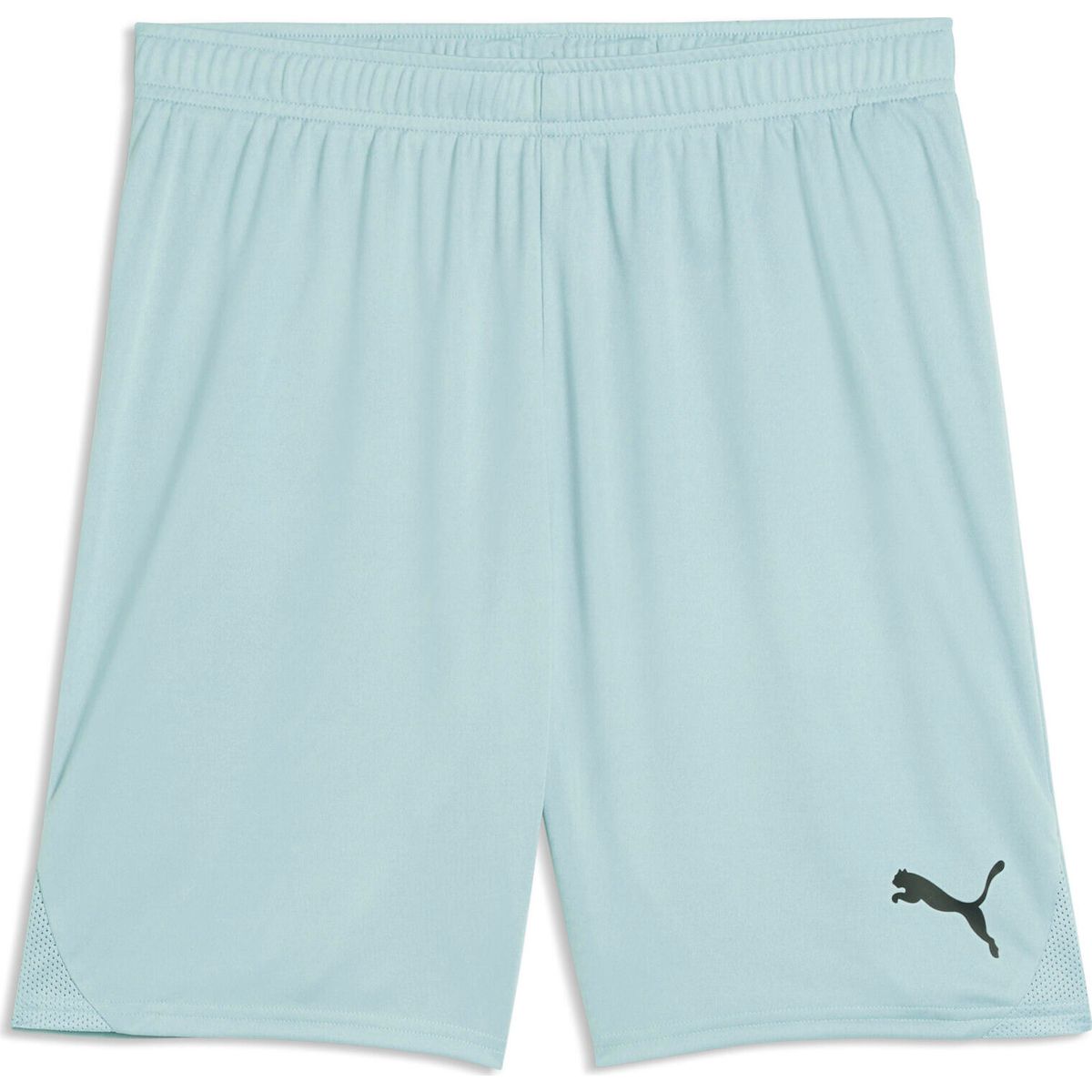 Puma Teamgoal Shorts modern mint (41) 3XL 705752-41-3XL