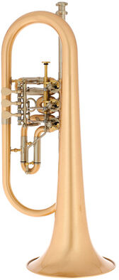 Schagerl Hans Gansch Flugelhorn scratch