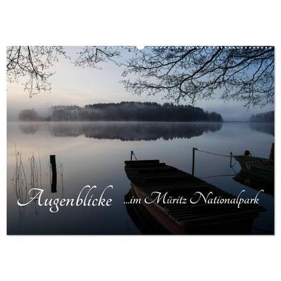 Augenblicke im Müritz Nationalpark (Wandkalender 2026 DIN A2 quer), CALVENDO Monatskalender