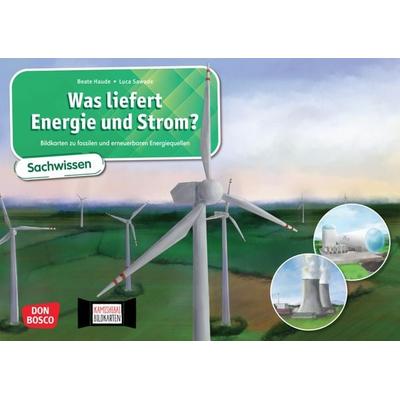 Was liefert Energie und Strom? Bildkarten zu fossilen und erneuerbaren Energiequellen. Kamishibai Bildkartenset, Sonstige von Beate Haude, Don Bosco