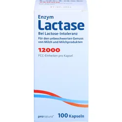 Lactase 12000 Fcc Kapseln 100 ST