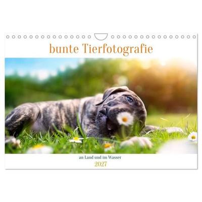 bunte Tierfotografie an Land und im Wasser (Wandkalender 2027 DIN A4 quer), CALVENDO Monatskalender