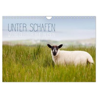 Unter Schafen - Wegbegleiter auf Reisen (Wandkalender 2027 DIN A4 quer), CALVENDO Monatskalender