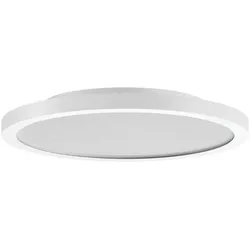 Performance in Light LED-Anbauleuchte 3123888