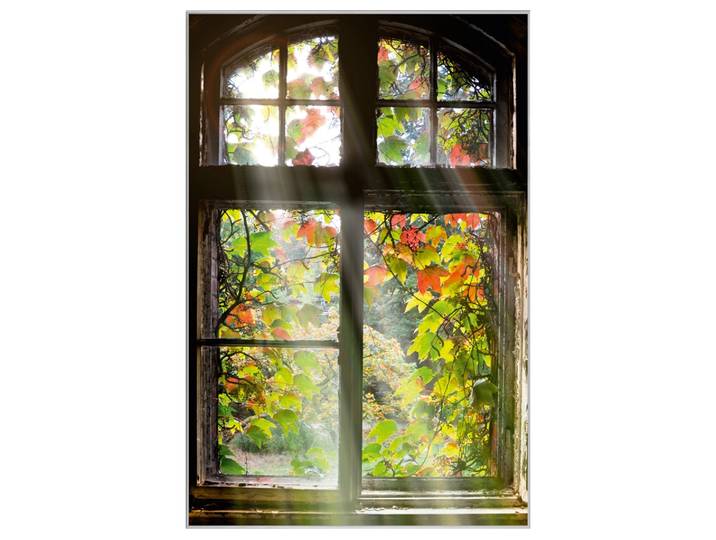 Bild mit Rahmen Fenster mit Laub image LAND