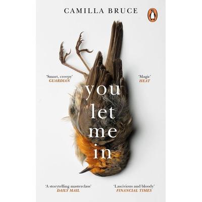 You Let Me In, Taschenbuch von Camilla Bruce, Vermilion, 978-1-78416-450-8