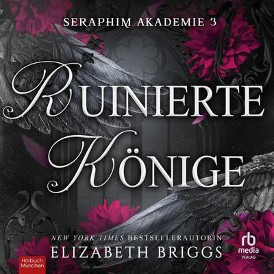 Ruinierte Könige - Elizabeth Briggs, Audio, 9783691281699
