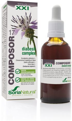 Soria Natural Composition 17 Diabesil complex 21st century 50 ml
